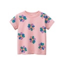 Ins trendy children's clothing Korean children's summer 2024 new wholesale western style baby girl short sleeve T-shirt children's clothing