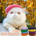 ins Style Wool for Spring, Summer, Autumn and Winter Pet Bailey Hat Supplies Painter Puppy Cat Headwear