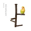 Source Factory Xuanfeng Peony Parrot Toy Station Rack Bird Solid Wood Station Pole Rotating Shape Branch Perching Wood