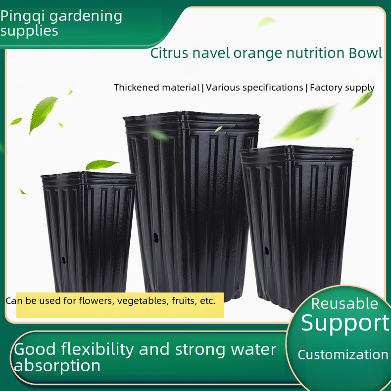 Supply Navel Orange Cup Citrus Cup Slender Square Bottom Thickened Heightening Black Nutrition Bowl Nutrition Cup Seedling