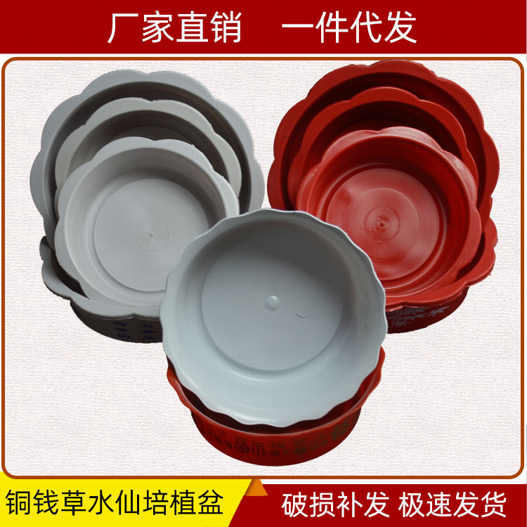 Plastic flowerpot bottle red and white narcissus bowl lotus water lily copper money grass rich water bamboo hydroponic potted plant a generation of hair