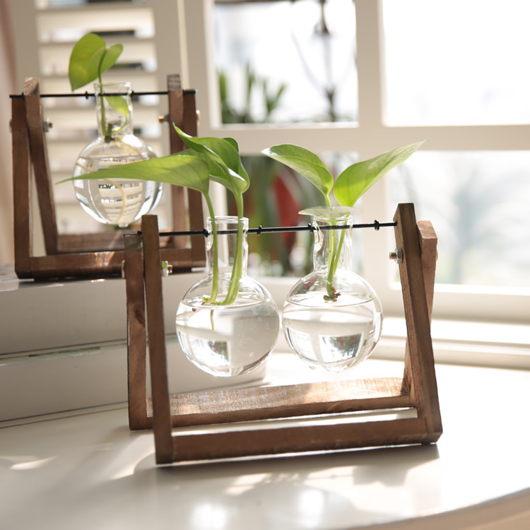 Creative hydroponic plant transparent wooden vase desktop small fresh container living room modern decorations
