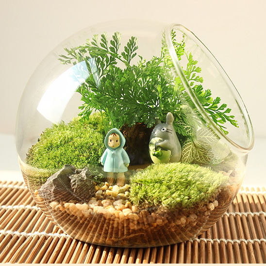 Micro landscape diagonal glass vase Moss fleshy DIY ecological bottle crystal glass home accessories wholesale
