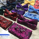 Shengzhou factory spot wholesale bow tie men's new formal Paisley cashew flower wedding groom bow