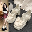 British style Mary Jane small leather shoes Autumn New thick-soled platform cake bottom thick heel shoes women's slip-on loafers