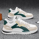 Men's Autumn Breathable New Spring Fashionable All-match Sports Casual Forrest Gump Running ins Dad Trendy Shoes