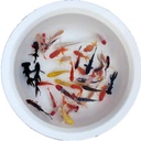 Ornamental fish live small goldfish small fish red grass gold fresh water fish feed fish live fish stall canned fish wholesale