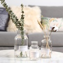 [Bilang 9101] Transparent Glass Nordic ins Style Vase Home Flower Decorative Ornaments Hydroponic Plant Bottle