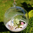 Micro landscape ecological bottle hanging glass vase succulent plant vase wedding crafts
