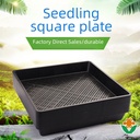 Factory Direct seedling tray pastoral square plate sprout vegetable maca Dendrobium succulent seedling tray plastic flower pot tray