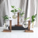 Creative Wooden Frame Hydroponic Vase Green Rose Plant Transparent Glass Flower Arranging Container Desktop Decoration Home Decoration Supplies