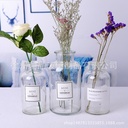 Nordic Small Brown Bottle ins Style Home Living Room Decorative Vase Ornaments Transparent Hydroponic Glass Vase