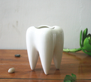 Factory flowerpot wholesale fleshy potted plant white ceramic pen holder home decoration tooth-shaped desktop ceramic flowerpot