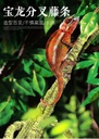 Baolong Crawler Simulation Rattan Vine Crawler Climbing Tropical Rainforest Plant Tree Vine Bending Resistant Random Setting
