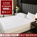 Factory Custom Hotel Mattress Bed Mattress Thickened Three-dimensional Comfortable Mat Hotel Homestay Non-slip Cushion