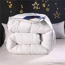 One-piece delivery hilshield duvet hotel thickened 8 Jin winter quilt feather velvet gift quilt bed & breakfast spring and autumn quilt