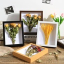 Stereo hollow specimen box 6 inch 10DIY handmade butterfly clay dry flower photo frame stand picture frame wall mounted