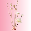 Non-fire Aromatherapy Rattan Volatile Stick Flower Set sola Ornaments Decoration Perfume Stick DIY Accessories