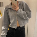 Double Zipper Long Sleeve Coat Sweatshirt Women's Spring and Autumn Korean Style Loose Short polo Collar Student Stand Collar Top