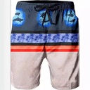 Hawaii beach pants men's shorts sports pants quick-drying Europe and the United States 3d digital printing pattern