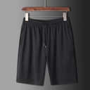 Summer Thin Mesh Ice Silk Shorts Men's Elastic Quick-drying Sports Pants Elastic Waist Straight Zipper Men's Pants