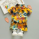 Children's Wear Boys Summer 1234 Years Old Girls Short-sleeved Shirt Floral Shorts Set Beach Two-piece Set