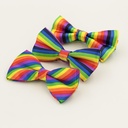 Colorful Striped Bow Tie Men and Women's Rainbow Pot Tie Groom Best Man Wedding Fashion Casual Bow Rainbow Strip