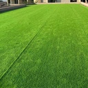 仿真草坪地毯人造装饰户外绿塑料铺垫围挡足球场幼儿园人工假草皮