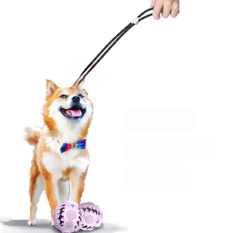 New pet dog anti-wear and bite-resistant toy ball pig man sucker pull interactive dog toy leakage ball