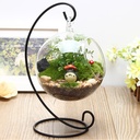 Micro landscape iron frame glass vase transparent hanging round bottle Moss DIY vase creative home crafts