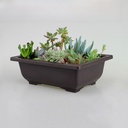 supply plastic retro flowerpot imitation purple sand dark brown suitable for fleshy small potted small bonsai balcony