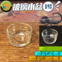 Reptile Spider Water Basin food basin acrylic reptile box scorpion Palace lizard pet corn snake landscaping glass cup