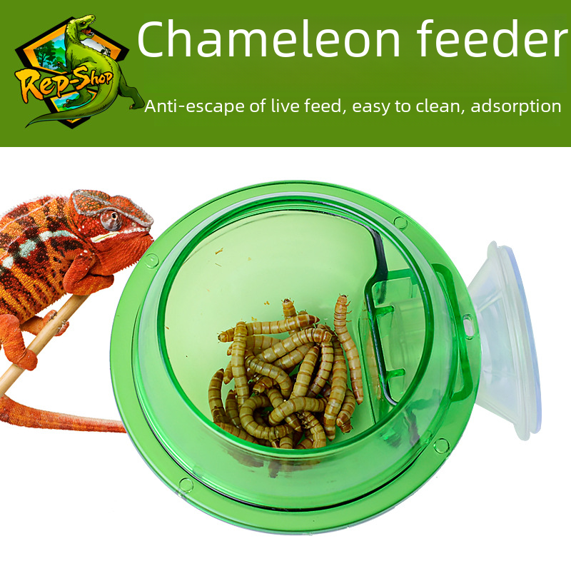 CM arboreal reptile living anti-escape sucker feeder ciliary horn chameleon bowl Wall double-layer planet ABS