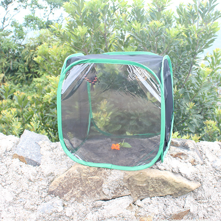 直销黑网绿边防虫网箱可折叠植物暖房透光观察房昆虫孵化箱蝴蝶笼