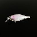 8.5/11g with noise steel ball floating water short tongue laser Luya bait rock Mino blank embryo fake bait