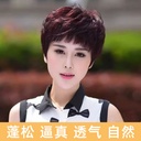 Wig Short Hair Women's Mother's Wig Short Curly Hair Realistic Old People's Real Hair Silk Wig Full Head Cover Women's Short Hair Cover