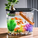 Plastic Transparent Oval Water and Soil Fish Tank with Lid Small Decorative Ornaments for Living Room and Office Desktop Goldfish Tank