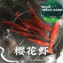 樱花虾活体虾观赏虾宠物虾小型淡水米虾自有渔场批发