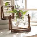 创意水培植物透明木架花瓶桌面小清新容器客厅现代装饰品摆件