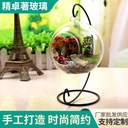 Micro landscape hanging ball pendant succulent plant hydroponic vase transparent glass ball vase