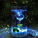 straight glass vase with light cylindrical Cork micro landscape ecological bottle with light seaweed ball ecological bottle