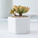 Simple White creative mini ceramic honeycomb shape small six sides succulent plant bonsai flower pot porcelain wholesale