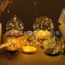 New Forever Flower Glass Cover diy Decorative Desktop Ornaments Dried Flower Transparent Micro Landscape Base with Lamp Dust Cover
