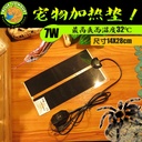 CM reptile adjustable heating pad crawling pet tortoise Spider horned frog pet heating winter heating USB heating pad