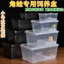 Special amphibious crab breeding box for horned frog breeding box turtle breeding box scorpion centipede with drying table climbing pet breeding box