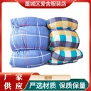 Factory supply color quilt single insulation quilt thickened warm quilt dormitory construction site unit dormitory quilt
