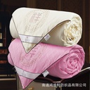Hengyuan Silk Quilt Mulberry Silk Spring and Autumn Quilt Thickened Winter Quilt Core Single Double All Cotton Summer Cool Quilt Gift Quilt