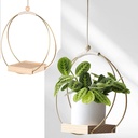 New Creative Flower Pot Wreath Iron Ring Instagram Style Wreath Wall Hanging Wooden Flower Pot Home Hanging Decoration