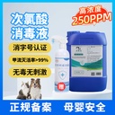 Hypochlorous Acid Disinfectant 5L Barreled Disinfectant Medical Pet Clothes Wash-Free Maternal and Infant Deodorization 5L Gift Spray Bottle